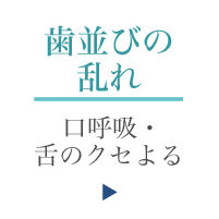 �����т̗���